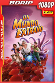 Un mundo extraño (2022) 1080p BDRip Latino