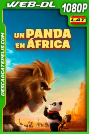Un panda en África (2024) 1080p WEB-DL Latino
