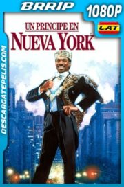 Un príncipe en Nueva York (1988) 1080p BRrip Latino