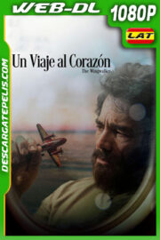 Un viaje al corazón: The Wingwalker (2024) 1080p WEB-DL Latino