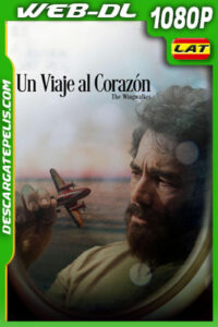 Un viaje al corazón: The Wingwalker (2024) 1080p WEB-DL Latino