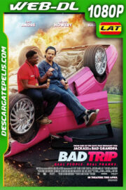 Un viaje pesado (2020) 1080p WEB-DL  Latino