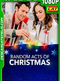 Una Acción para navidad (2019) 1080p WEB-DL Latino