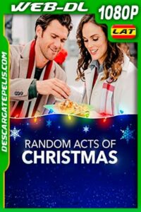 Una Acción para navidad (2019) 1080p WEB-DL Latino