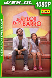 Una flor en el barro (2023) 1080p WEB-DL Latino