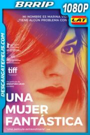 Una mujer fantástica (2017) 1080p BRRip Latino