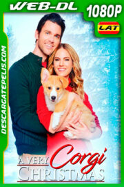 Una Navidad con Corgi (2019) 1080p WEB-DL Latino