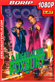 Una noche en el Roxbury (1998) 1080p BDRip Latino