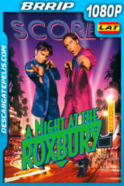 Una noche en el Roxbury (1998) 1080p BRRip Latino