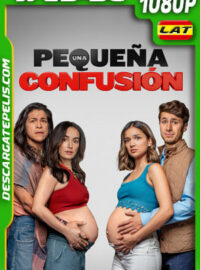 Una pequeña confusión (2024) 1080p WEB-DL Latino