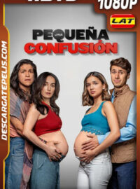 Una pequeña confusión (2024)