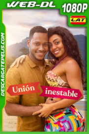 Unión inestable (2023) 1080p WEB-DL Latino