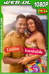Unión inestable (2023) 1080p WEB-DL Latino