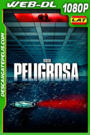 Vista Peligrosa (2021) 1080p WEB-DL Latino