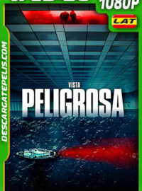 Vista Peligrosa (2021) 1080p WEB-DL Latino