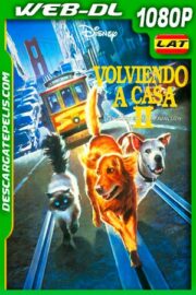 Volviendo a casa 2: Perdidos en San Francisco (1996) 1080p WEB-DL AMZN Latino