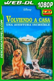 Volviendo a casa: Una aventura increíble (1993) 1080p WEB-DL AMZN Latino