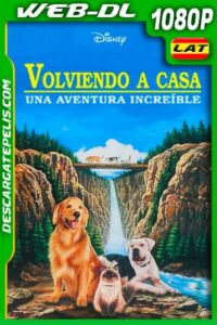Volviendo a casa: Una aventura increíble (1993) 1080p WEB-DL AMZN Latino
