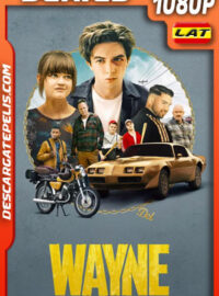 Wayne (2019) Temporada 1 1080p WEB-DL Latino