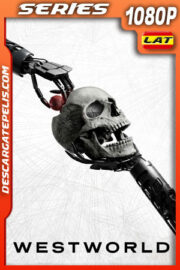 Westworld (2022) Temporada 4 1080p WEB-DL Latino