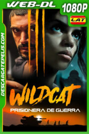 Wildcat – Prisionera de Guerra (2021) 1080p WEB-DL Latino