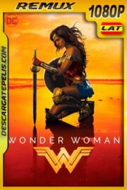 Mujer Maravilla (2017) 1080p BDRemux Latino – Ingles