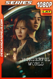 Wonderful World Temporada 1 (2024) 1080p WEB-DL Latino