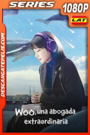Woo una abogada extraordinaria Temporada 1 (2022) 1080p WEB-DL Latino