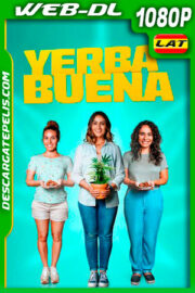 Yerba Buena (2020) 1080p WEB-DL Latino