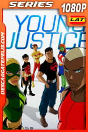 Young Justice (2011) Temporada 1 1080p WEB-DL Latino