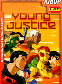 Young Justice (2012) Temporada 2 1080p WEB-DL Latino