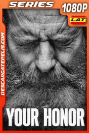 Your Honor Temporada 2 (2023) 1080p WEB-DL Latino