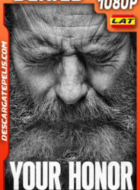 Your Honor Temporada 2 (2023) 1080p WEB-DL Latino