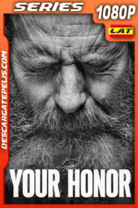 Your Honor Temporada 2 (2023) 1080p WEB-DL Latino