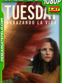 Tuesday el último abrazo (2023) 1080p WEB-DL Latino