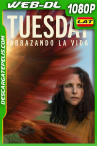 Tuesday el último abrazo (2023) 1080p WEB-DL Latino