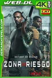 Zona de riesgo (2021) 4k WEB-DL HDR Latino