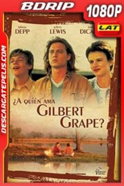 ¿A quién ama Gilbert Grape? (1993) 1080p BDrip Latino