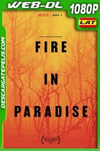 Ip Man 3 (2015) 1080p BRrip Latino – Chino