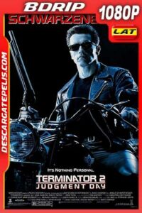 Terminator 2. El juicio final (1991) 1080p BDrip Extended Latino – Inglés