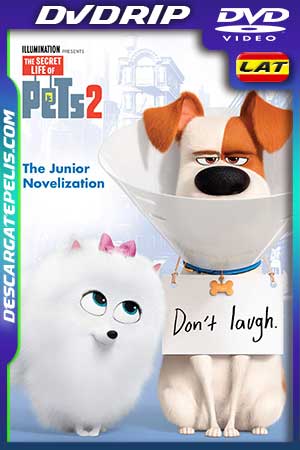 La vida secreta de tus mascotas 2 2019 DVDrip Latino