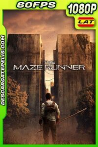 Maze Runner: Correr o morir (2014) BDrip 60fps Latino – Ingles