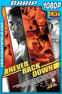 Rompiendo las reglas 2008 1080p BRrip Latino – Inglés