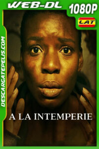 A la intemperie (2023) 1080p WEB-DL Latino