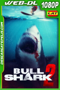 Bull Shark 2 (2024) 1080p WEB-DL Latino