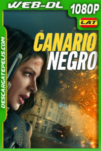 Canario negro (2024) 1080p WEB-DL Latino