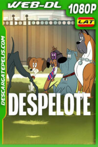Despelote (2025) WEB-DL 1080p Latino