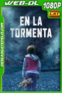 En la tormenta (2021) 1080p WEB-DL Latino