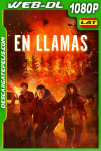 En llamas (2023) 1080p WEB-DL Latino