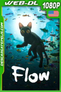Flow (2024) 1080p WEB-DL